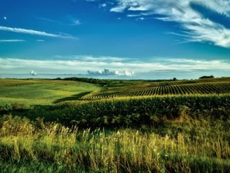 paesaggio-agricolo