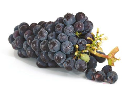 grappolo uva nera