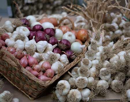 agliobiancopiacentino