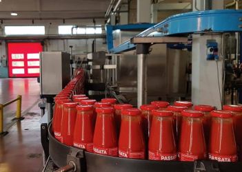 lavorazione industriale pomodoro